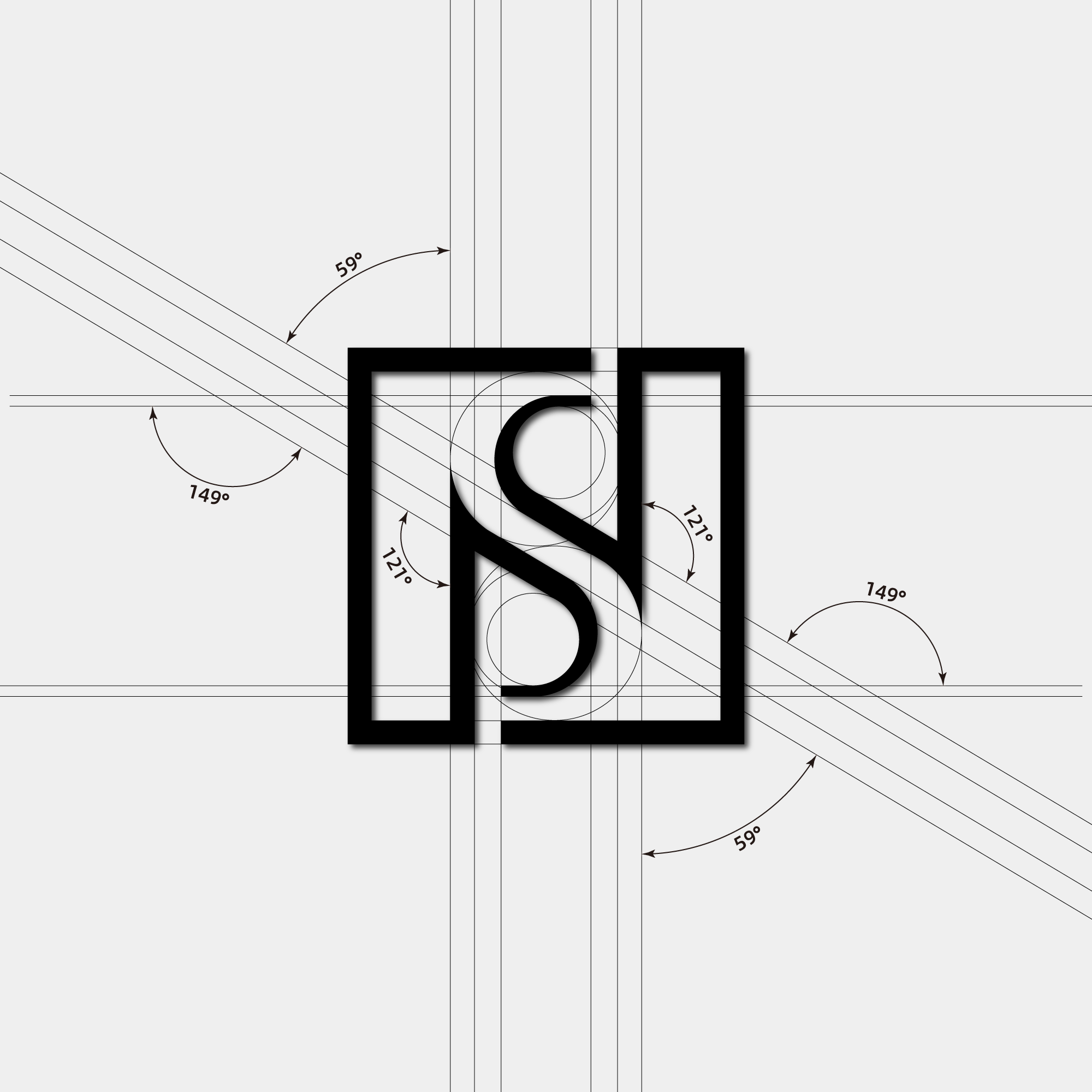 Logo designed with the letters S and N